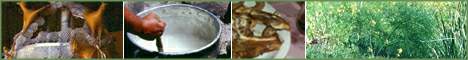 Collage - La carvaccata di Geraci, la cagliata, costolette arrosto e una pianta di finocchio selvatico