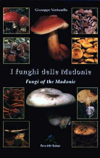 I funghi del Parco delle Madonie