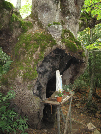 Ingresso di una grotta nel Parco delle Madonie