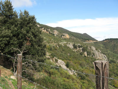 Parco delle Madonie
[click per ingrandire l'immagine]