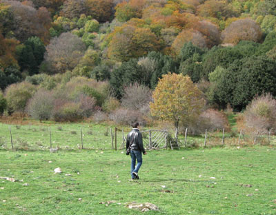 Sentiero nel Parco delle Madonie
[click per ingrandire l'immagine]