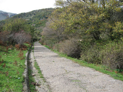 Sentiero nel Parco delle Madonie
[click per ingrandire l'immagine]