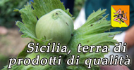 Vai allo Speciale: Sicilia, terra di prodotti di qualit
