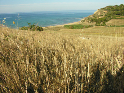 Riserva Naturale Orientata di Torre Salsa