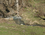 Fiume Alcantara
Un tratto vicino la sorgente