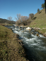 Fiume Alcantara
Altro tratto vicino la sorgente