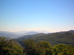 Faggeta con sfondo Etna