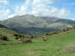 Panorama del Parco delle Madonie